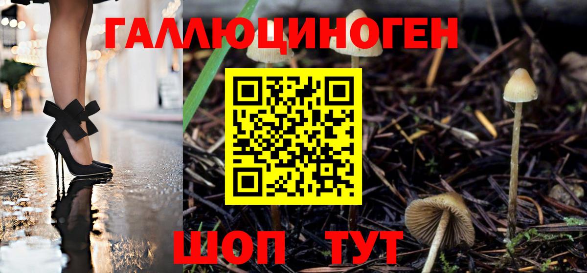 наркота  Вход с VPN  Первоуральск  Галлюциногенные грибы Psilocybe 